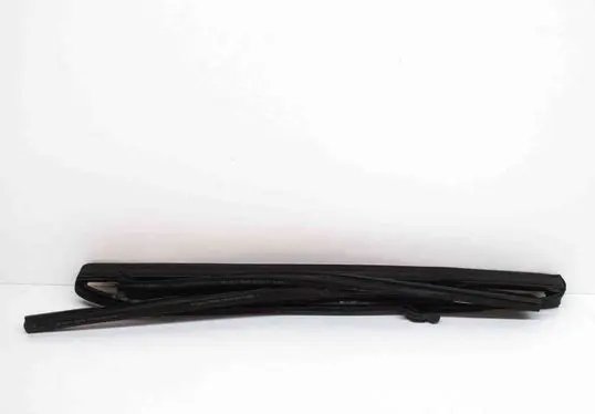 BMW X3 G01 Rear door glass trim molding 7393447