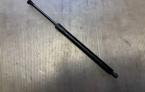 Tailgate/trunk strut/damper