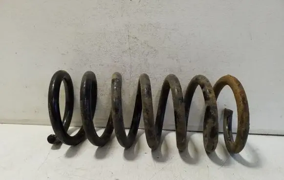 Rear coil spring