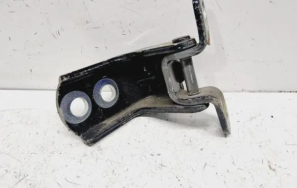 Renault Koleos II Rear door lower hinge 824215HA0A