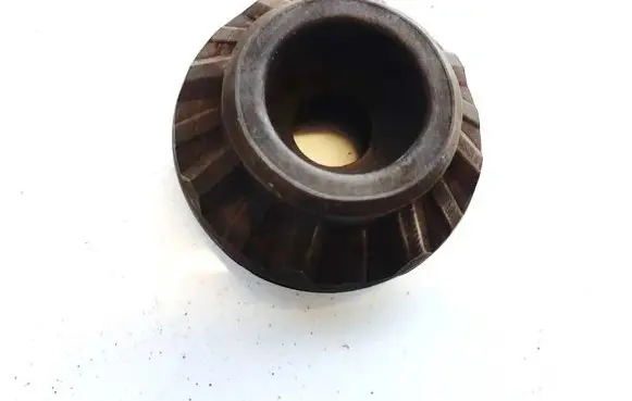 Coil spring mount