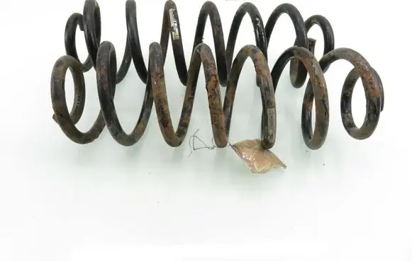 Volkswagen Tiguan Rear coil spring
