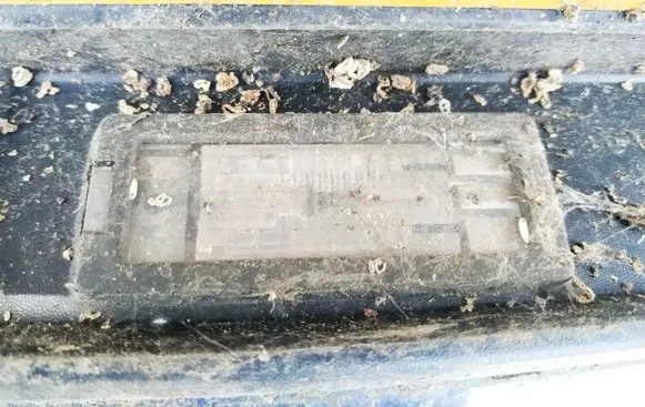 Renault Scenic II - Grand scenic II Number plate light