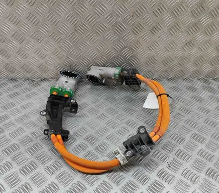 BMW iX Other wiring loom 5A0C134