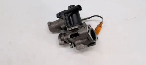 EGR valve