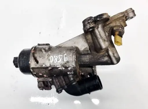 Nissan Qashqai Oil filter cover 8200781898