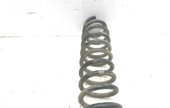Rear coil spring