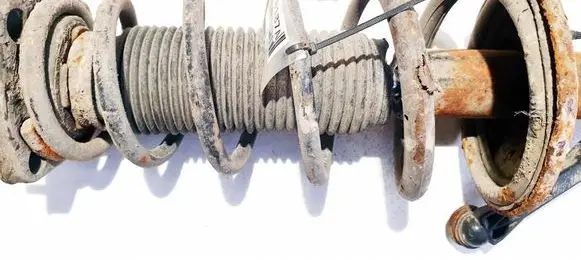 KIA Cerato Rear coil spring 