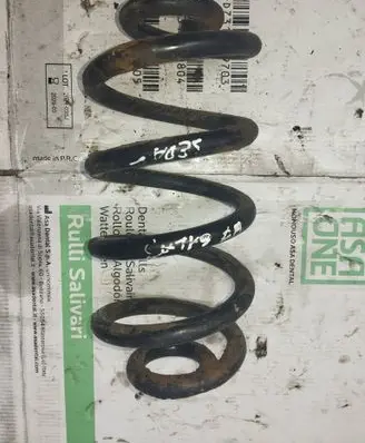 Rear coil spring