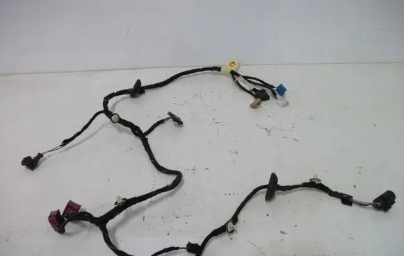Front door wiring loom