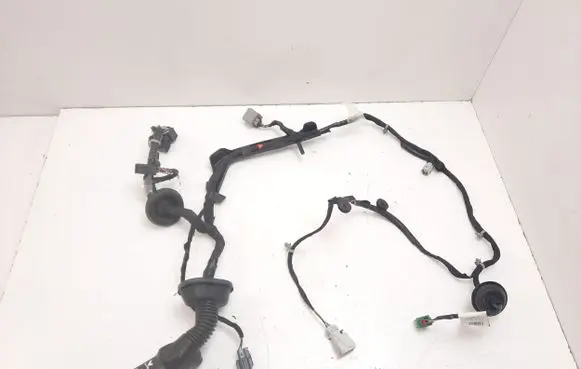 Cadillac Escalade IV Front door wiring loom 84305358