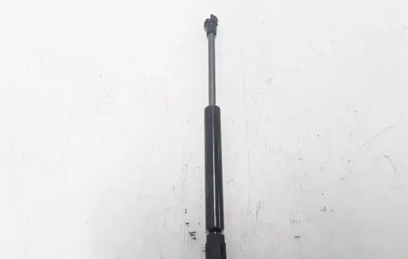 Tailgate strut
