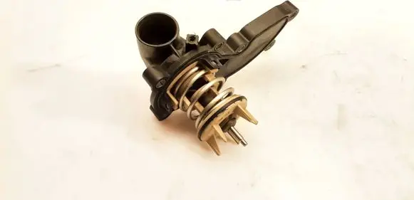 Thermostat/thermostat housing