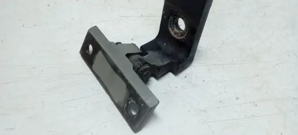 BMW X5 E70 Front door lower hinge 