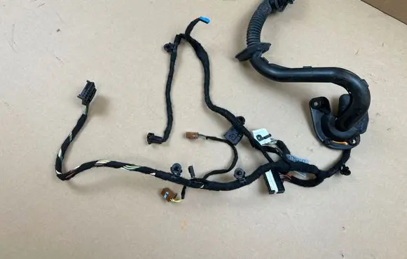 BMW 7 E65 E66 Rear door wiring loom 6923726