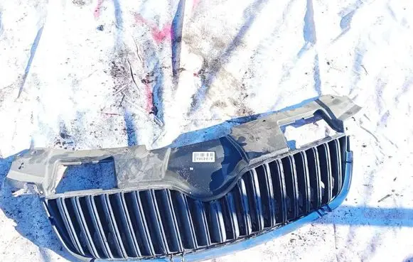 Skoda Roomster (5J) Front grill 5j0853668a 002010212713