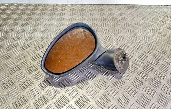 Fiat Punto (199) Front door electric wing mirror E3011023