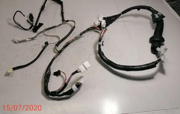 Front door wiring loom
