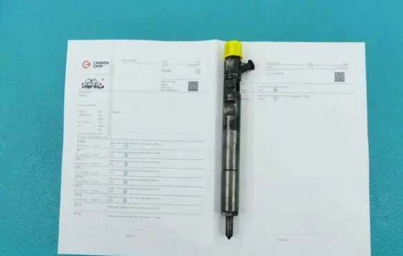 KIA Carnival Fuel injector EJBR01901Z IMPRK1326331