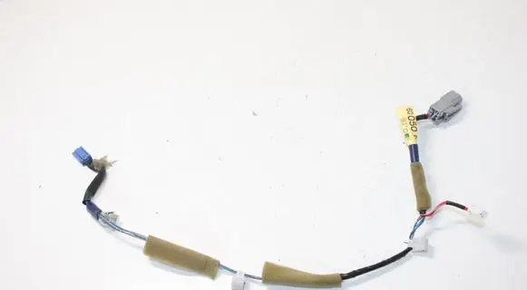 Lexus GX J120 Front door wiring loom 8250660050