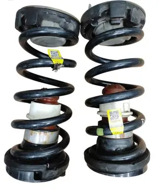 Rear coil spring