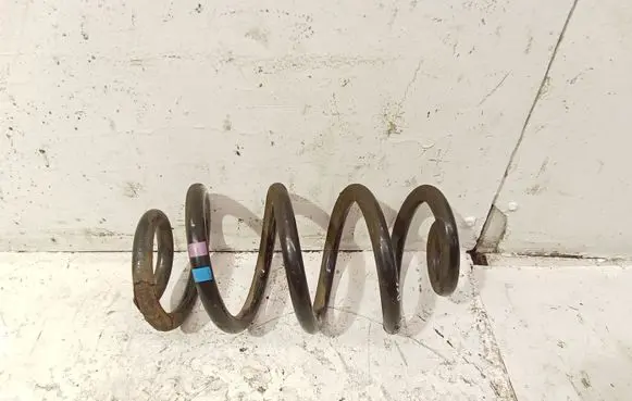 Rear coil spring