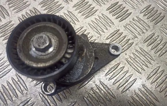 Peugeot 307 Alternator belt tensioner pulley 