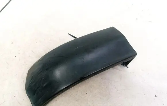 Rear/tail light trim molding