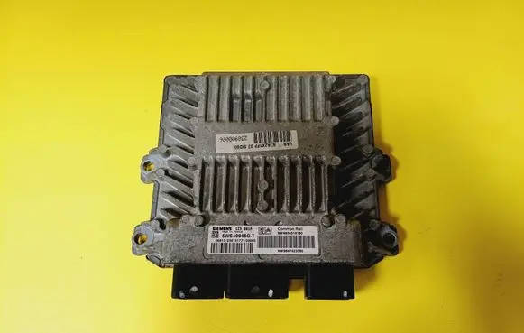 Citroen Xsara Engine control unit/module 5WS40046CT