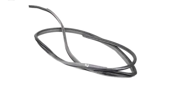 Toyota Prius (XW30) Rubber seal front coupe door 