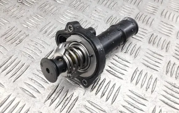 Thermostat/thermostat housing