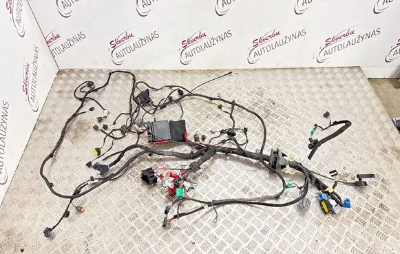 Renault Espace V (RFC) Other wiring loom 403885681R 214G39170R 243863324R