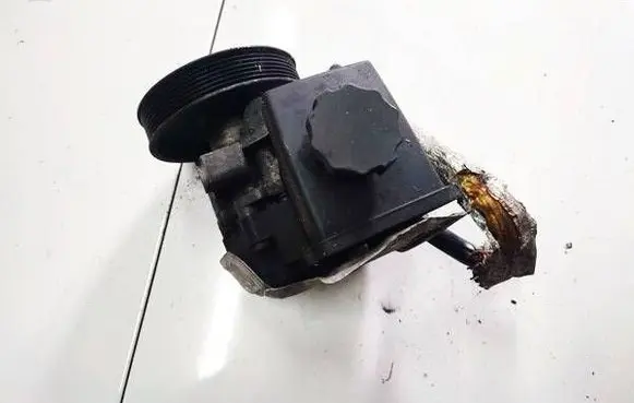 Mercedes-Benz C W203 Power steering pump 7691332130