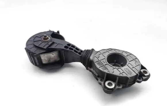 Peugeot 207 Alternator belt tensioner V75488488007