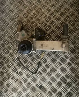 EGR valve cooler