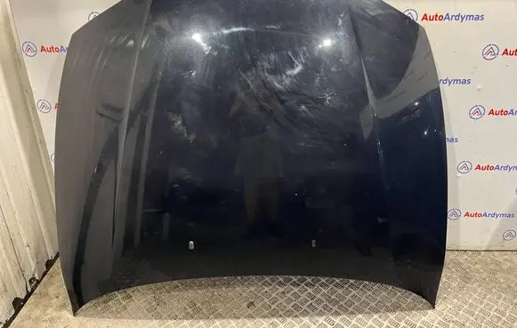 BMW 1 E82 E88 Engine bonnet/hood 7162102 41627162102