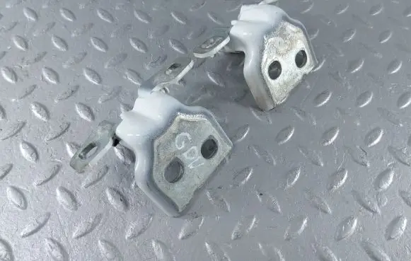 Dacia Sandero III Rear door hinge set 804209726R 804207876R