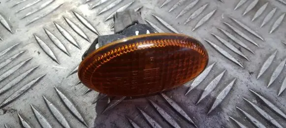 Front fender indicator light