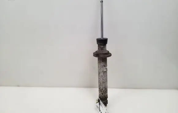 BMW 5 E39 Rear shock absorber/damper 1093646