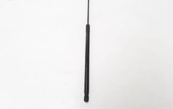 Renault Wind Tailgate strut 904520002r