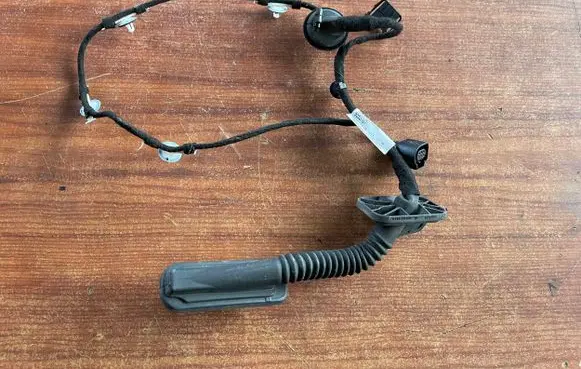 Volkswagen e-Up Rear door wiring loom 1S4971693B
