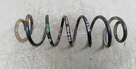 Volkswagen Golf IV Rear coil spring