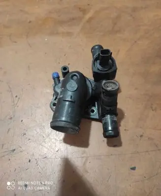 Thermostat/thermostat housing