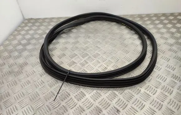Citroen Berlingo Front door rubber seal