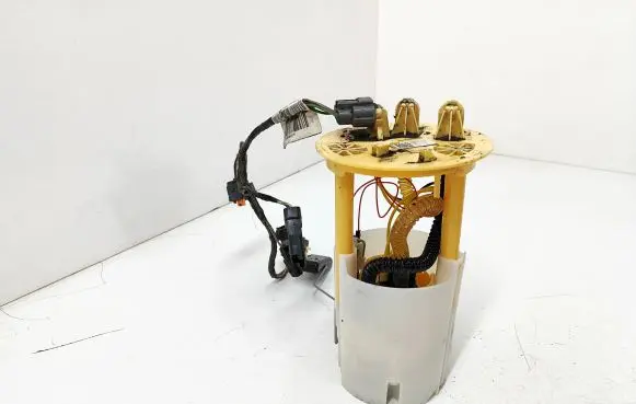 Renault Espace V (RFC) In-tank fuel pump 172023644R