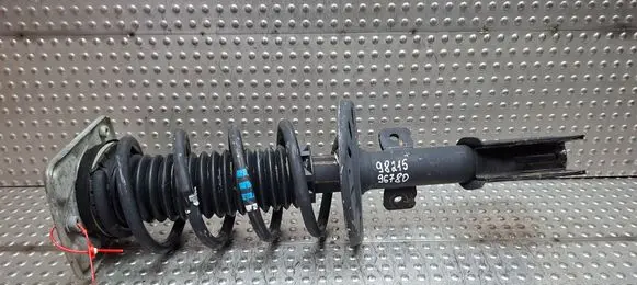 Peugeot Expert Front shock absorber/damper S25072000 9821596780
