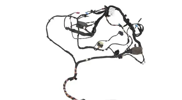 BMW 6 G32 Gran Turismo Front door wiring loom