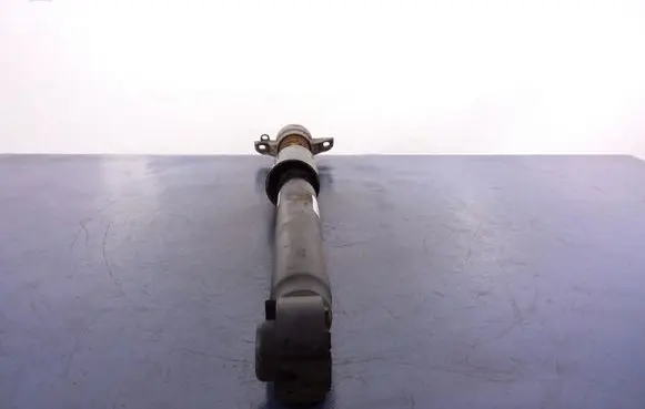 Audi Q5 SQ5 Rear shock absorber/damper 8R0513028