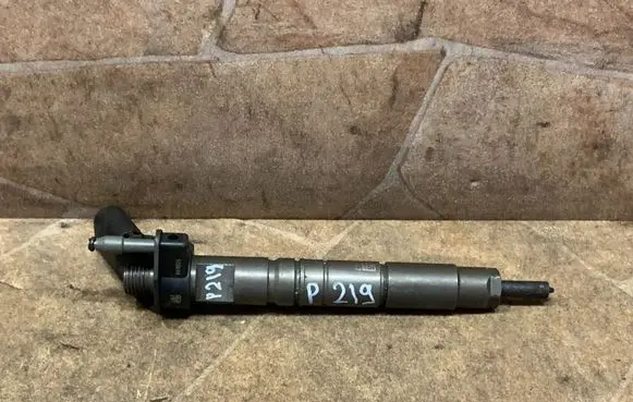 Mercedes-Benz E W212 Fuel injector A6420701187 0445116