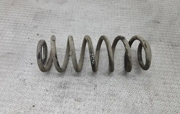 Skoda Octavia Mk2 (1Z) Rear coil spring